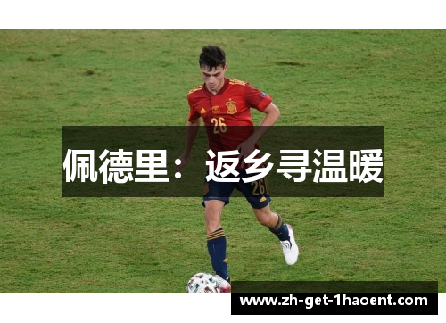 佩德里：返乡寻温暖