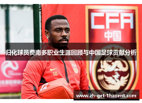 归化球员费南多职业生涯回顾与中国足球贡献分析