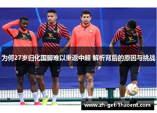为何27岁归化国脚难以重返中超 解析背后的原因与挑战