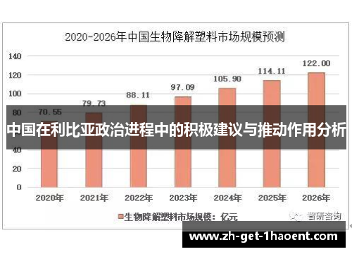 中国在利比亚政治进程中的积极建议与推动作用分析