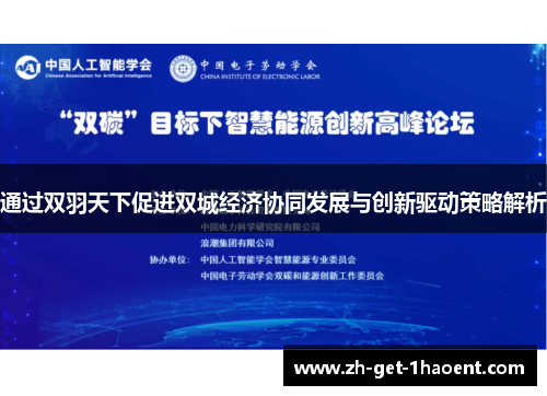 通过双羽天下促进双城经济协同发展与创新驱动策略解析